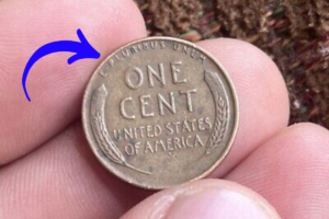 The $9.5 Million Lincoln Wheat Penny